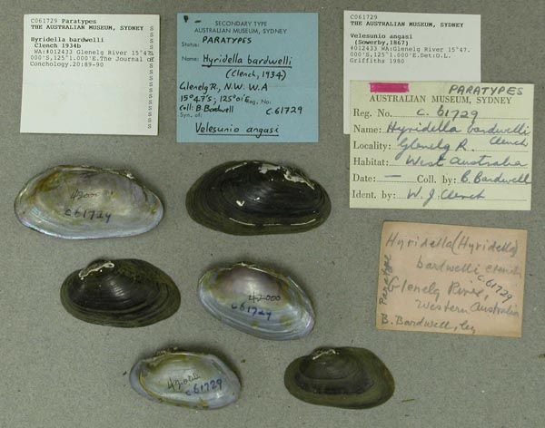 specimen