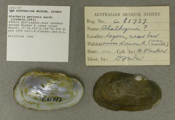 specimen