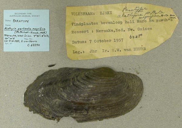 specimen