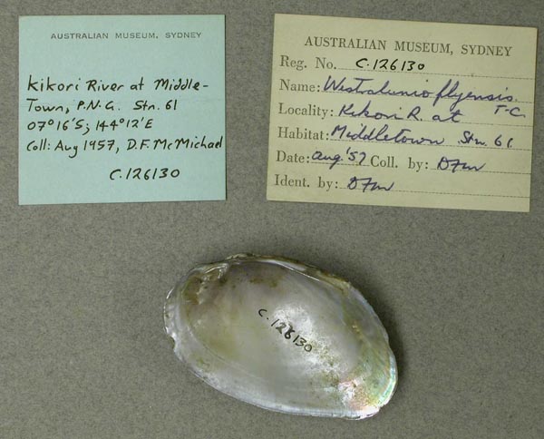 specimen