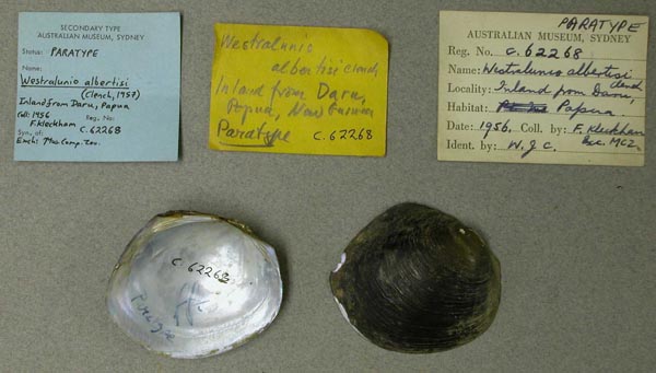 specimen