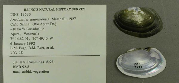 specimen