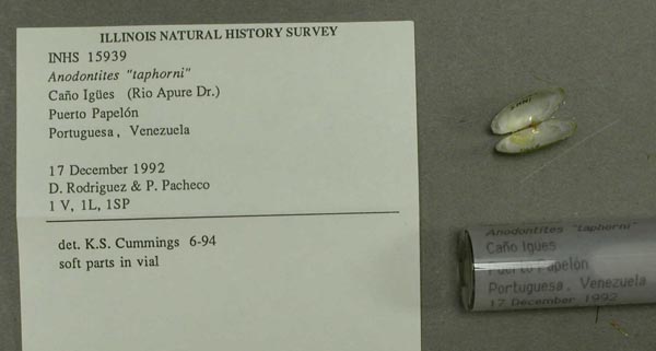 specimen