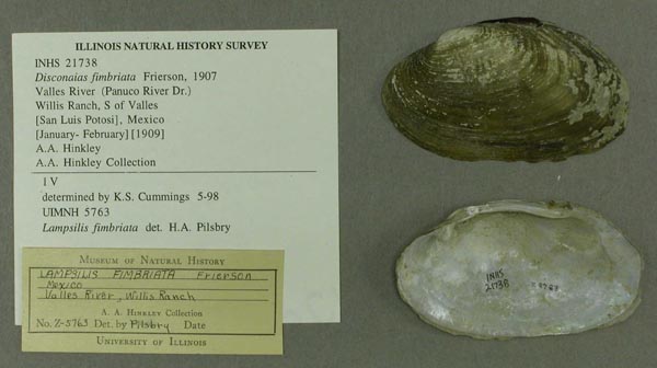 specimen