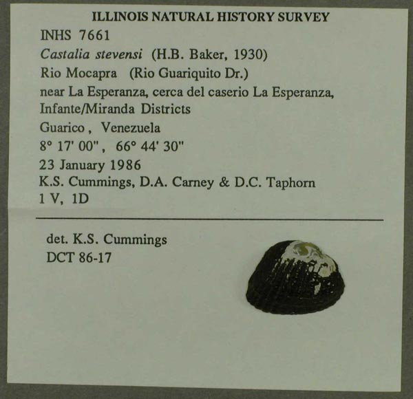 specimen