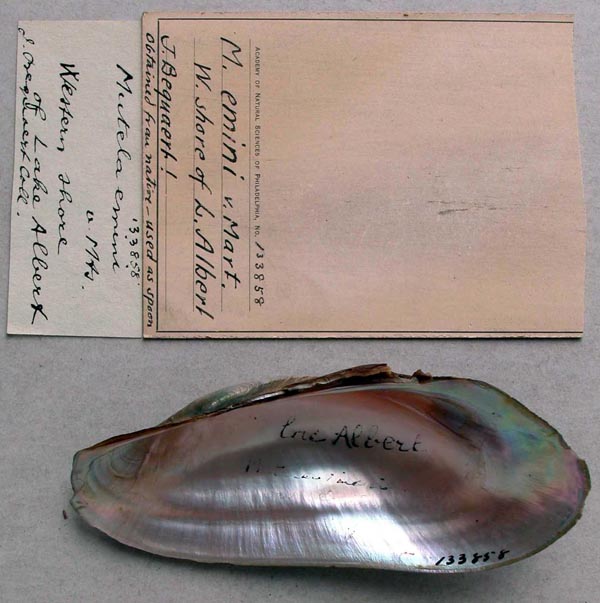 specimen