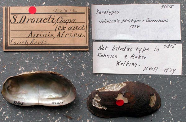 image of lot ANSP_41815 image of lot ANSP_41815