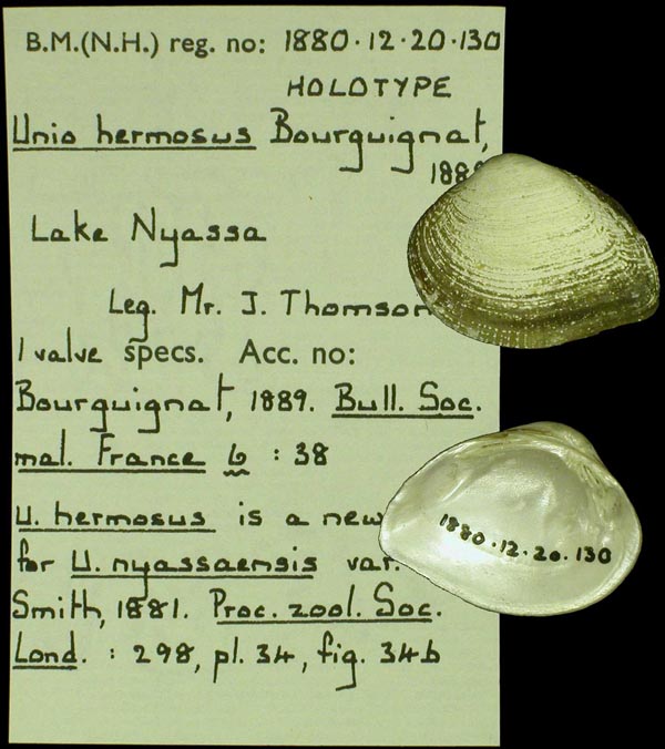 specimen