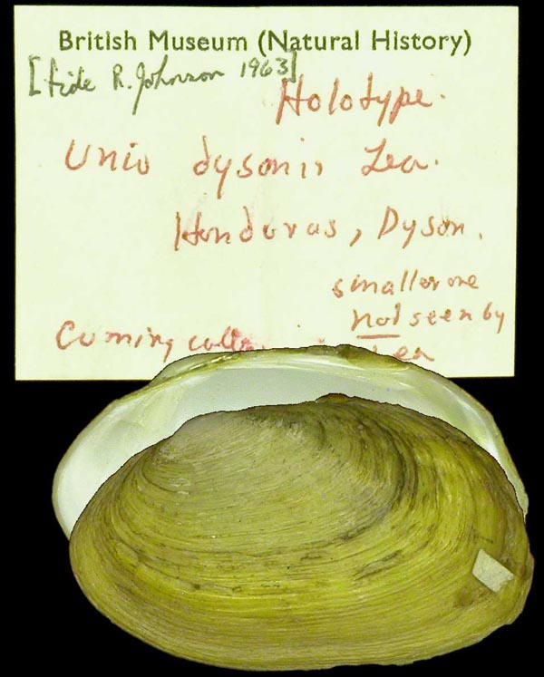 specimen