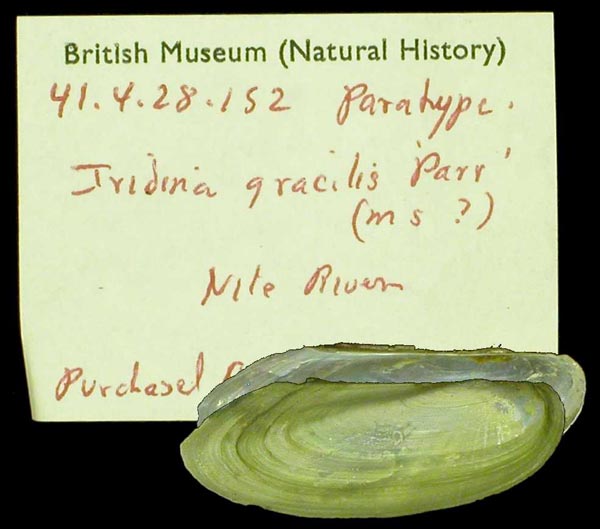 specimen