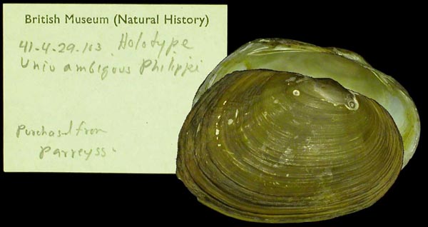 specimen