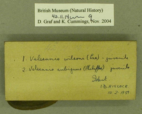 specimen