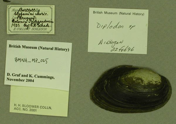 specimen