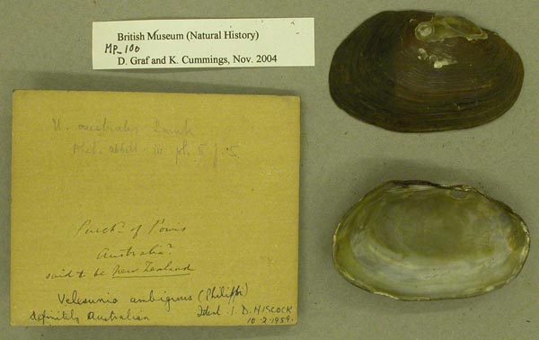 specimen
