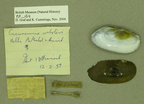 specimen