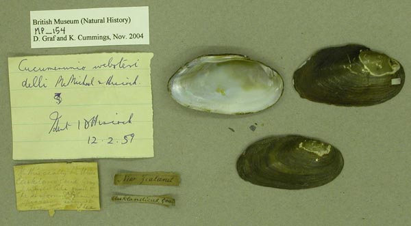 specimen