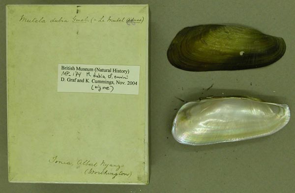 specimen