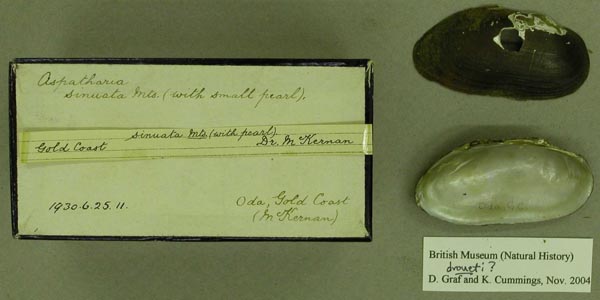 specimen