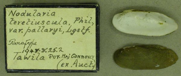 specimen