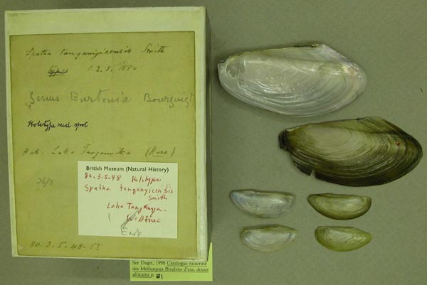 specimen