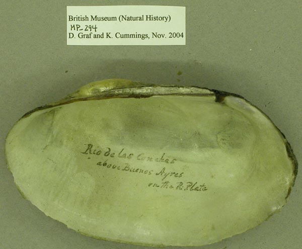 specimen