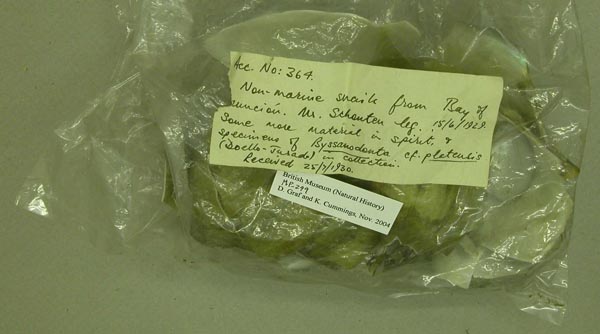 specimen