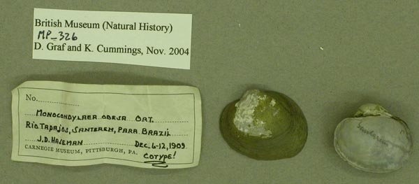 specimen