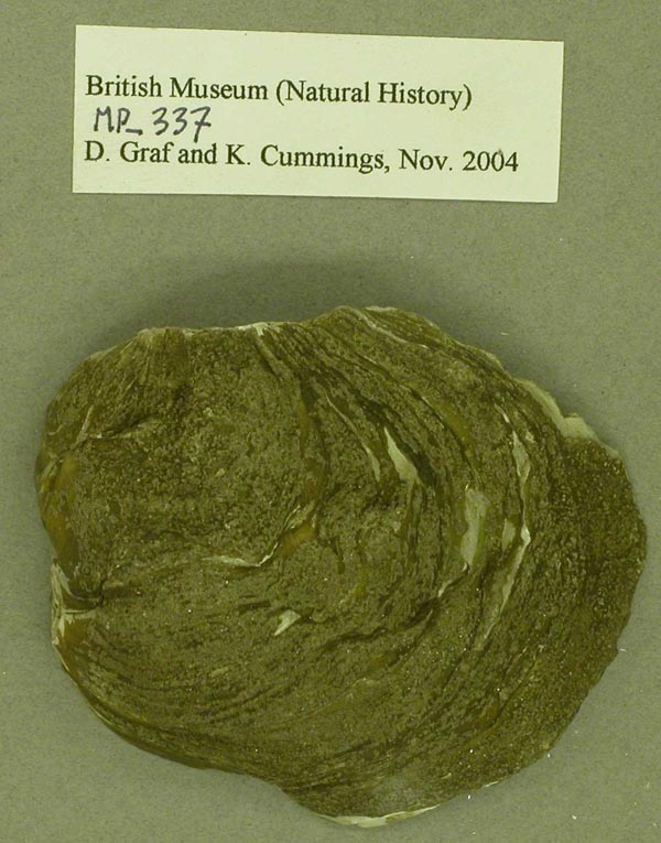 specimen
