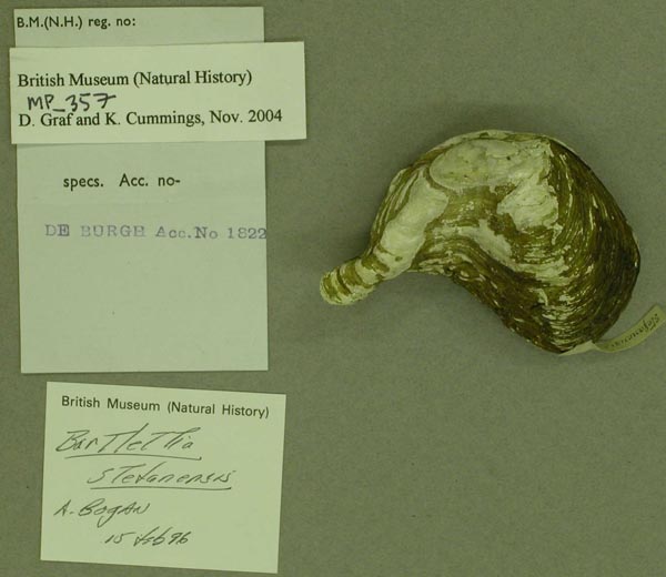 specimen