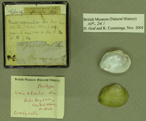 specimen