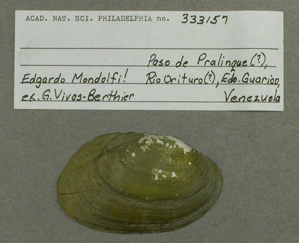 specimen