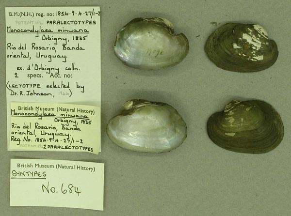 specimen