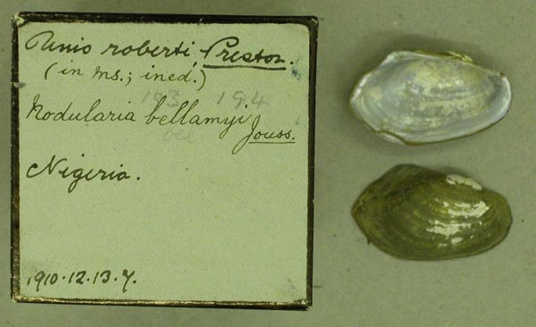 specimen