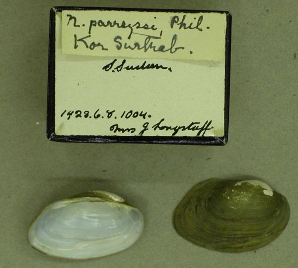 specimen