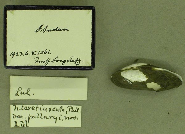 specimen