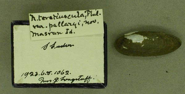 specimen