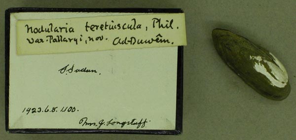 specimen