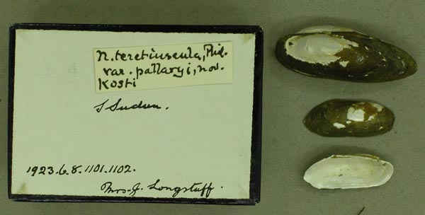 specimen