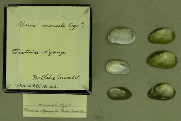specimen