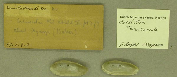 specimen