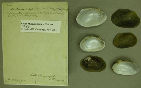 specimen