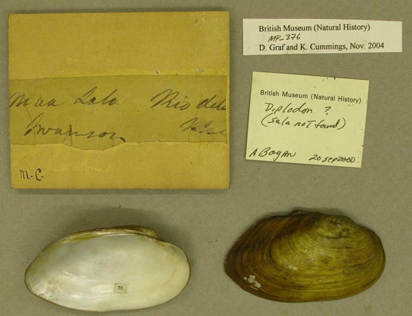 specimen