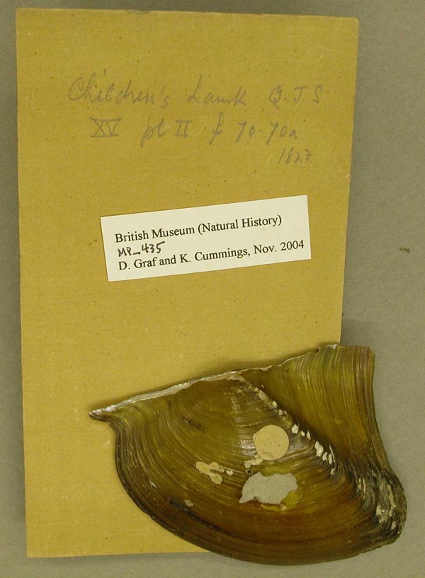 specimen
