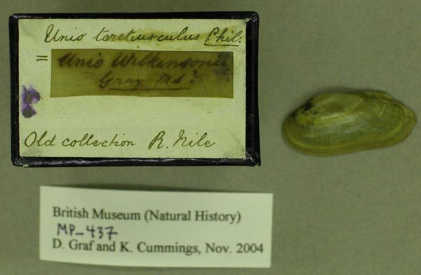 specimen