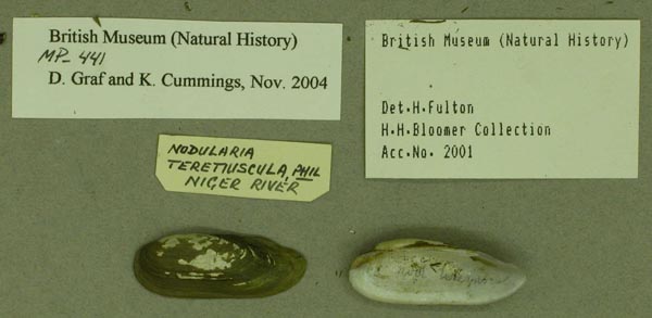 specimen