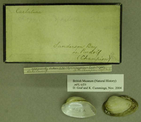 specimen