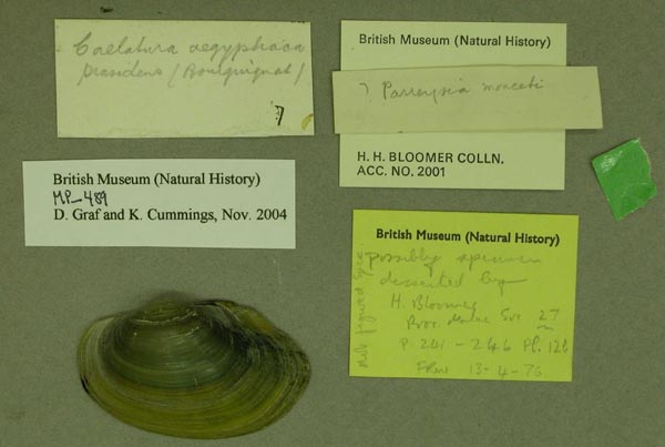 specimen
