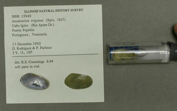 specimen