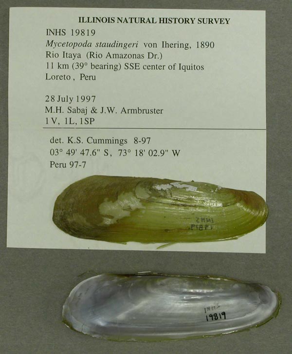 specimen