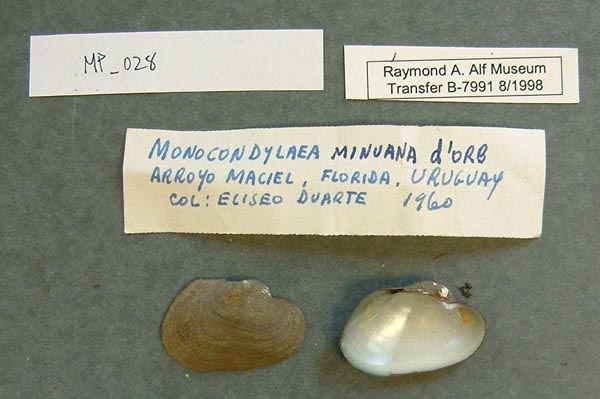 specimen